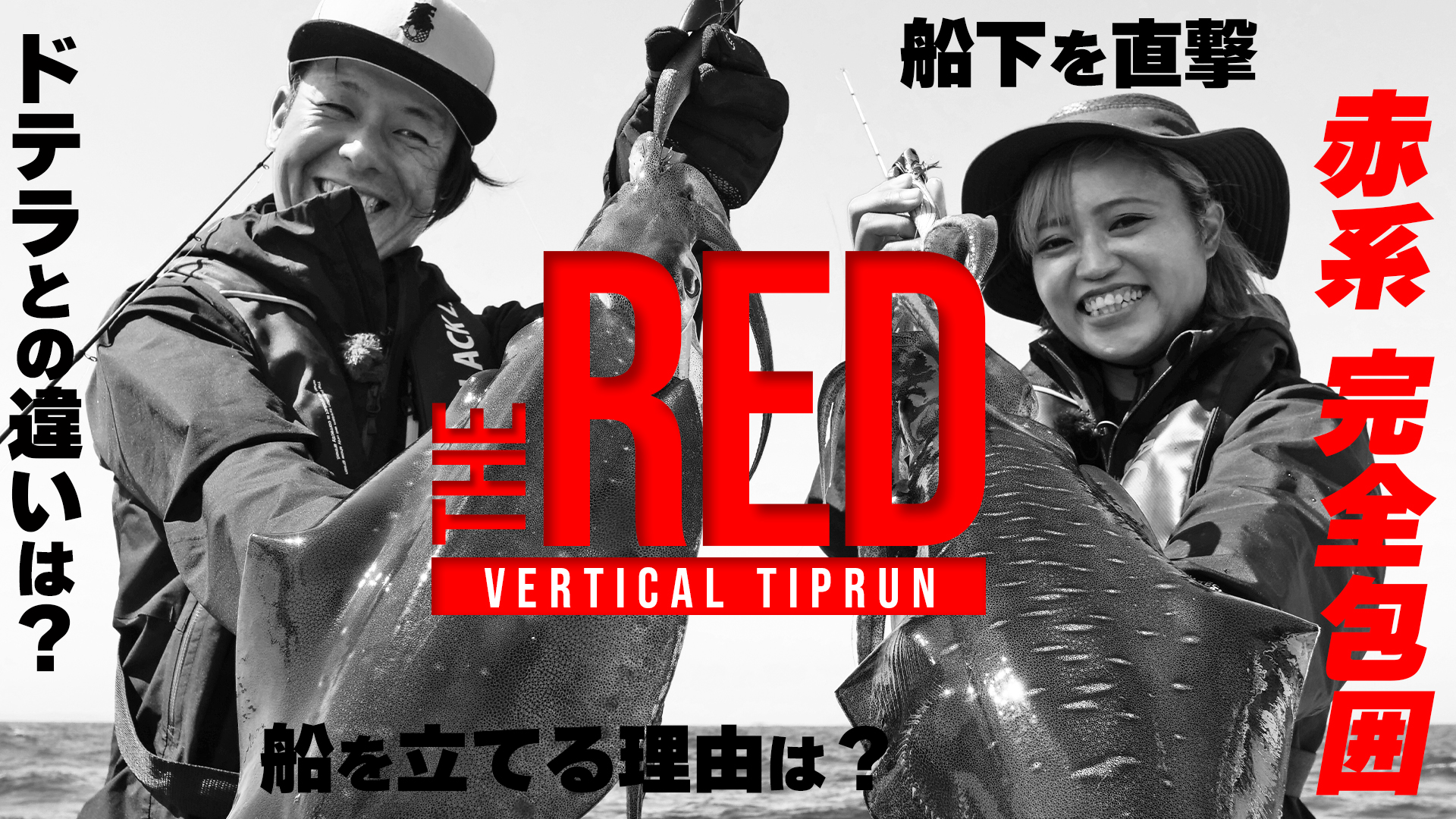 ドテラとは違う！赤系アオリをまとめて釣る為のバーチカルティップラン完全解説