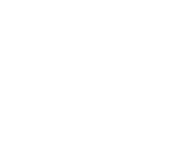 wing110