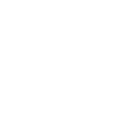 wing120