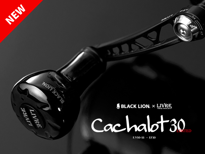 Cachalot 30_new