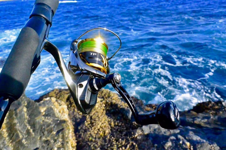 【　デカイカモンスター　】