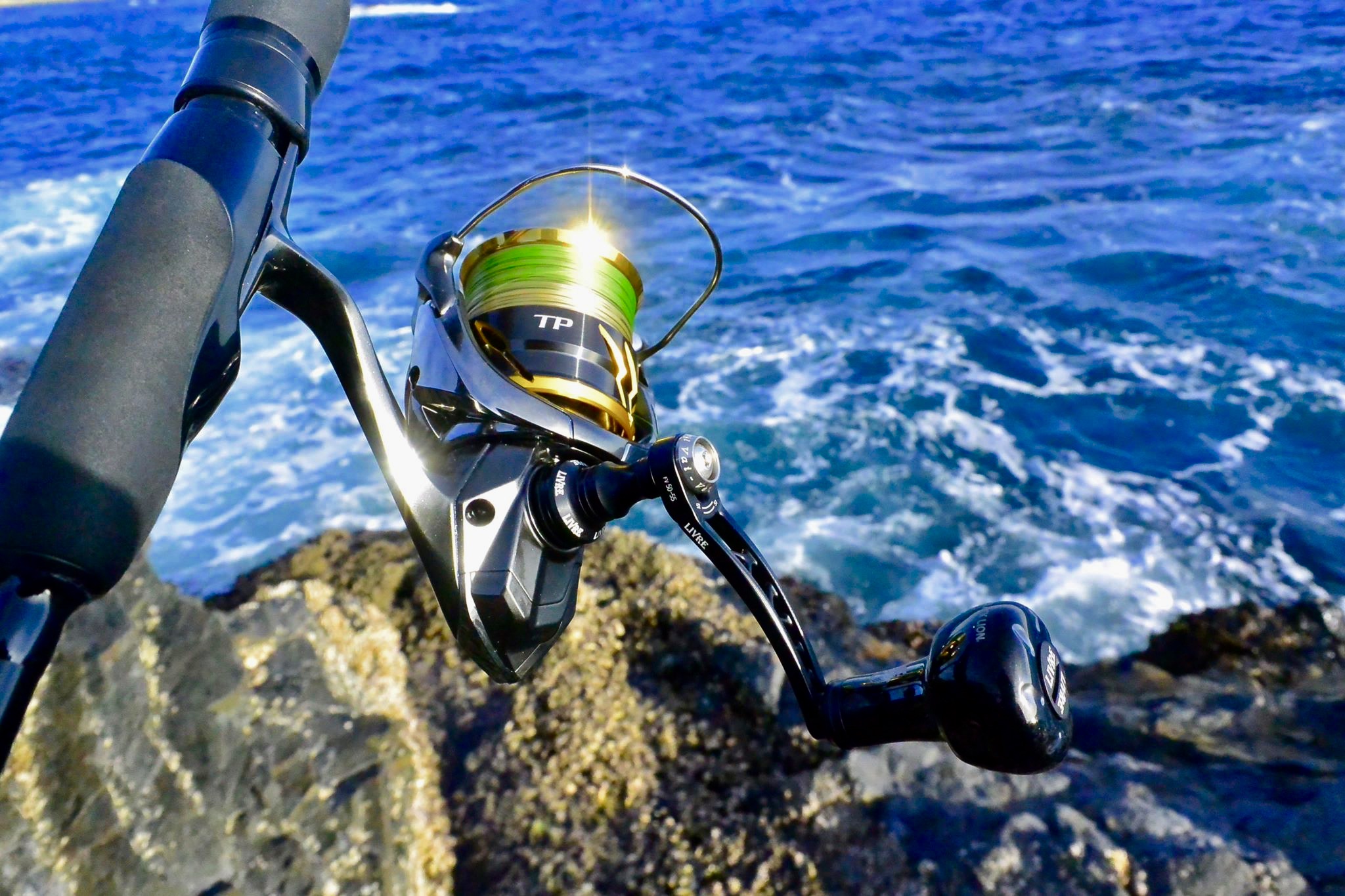 【  モンスター捕獲  】