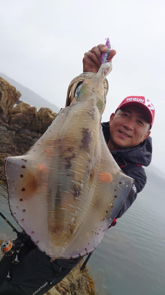 【 陸っぱりエギング 】