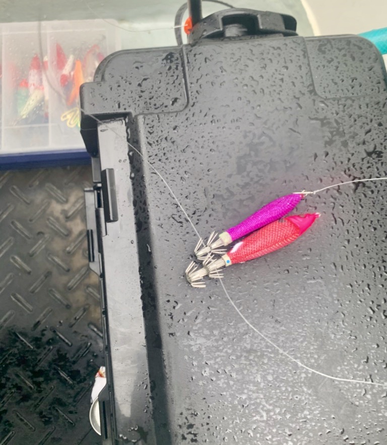 ☆　エリア：福井県三国エリア 遊漁船：神海丸様　☆