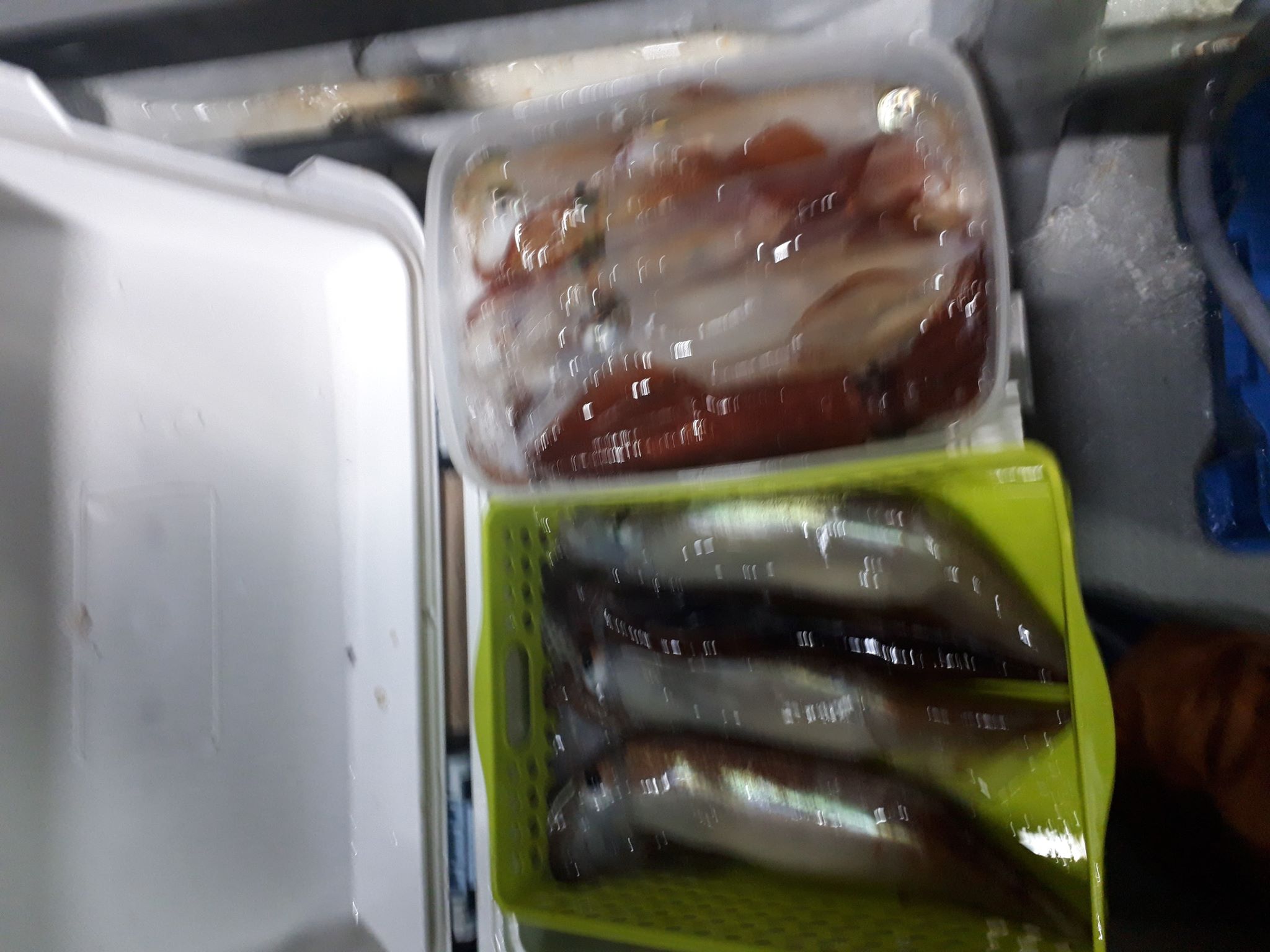 ☆　エリア：福井県敦賀エリア 　遊漁船：一美丸様　☆