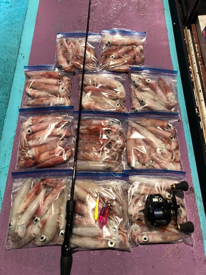 和歌山南紀　好調です！　みなべ純栄丸様！