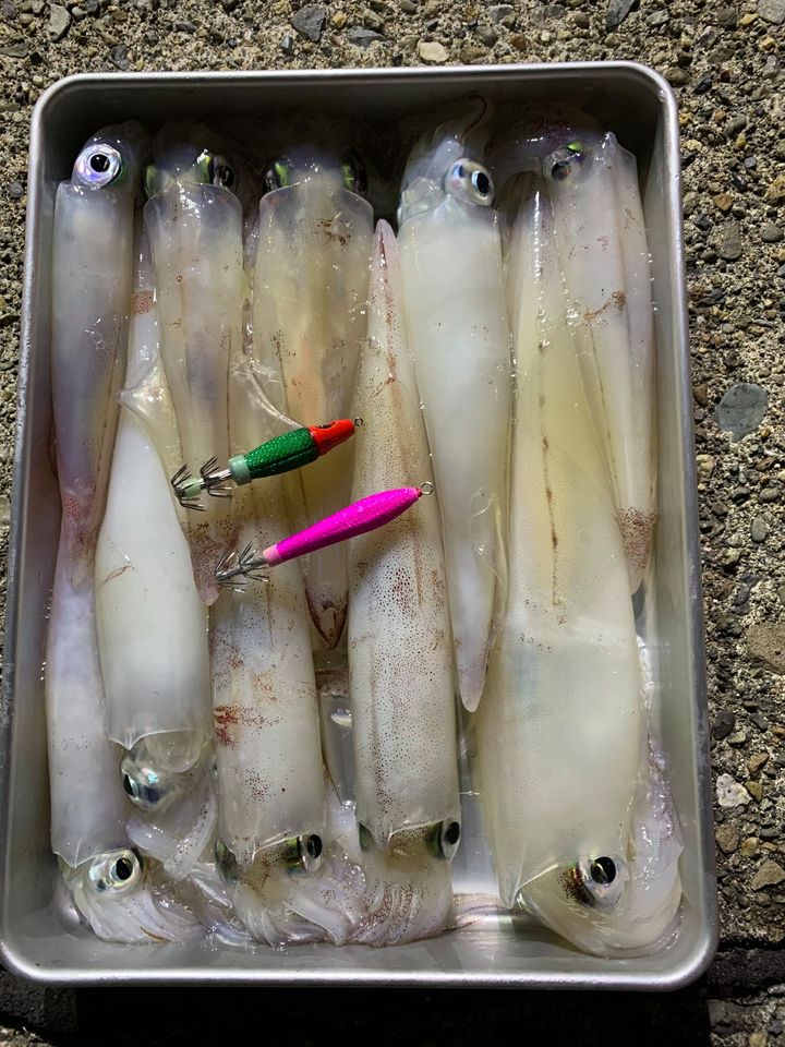 【 八角スッテチャレンジ 2020 】