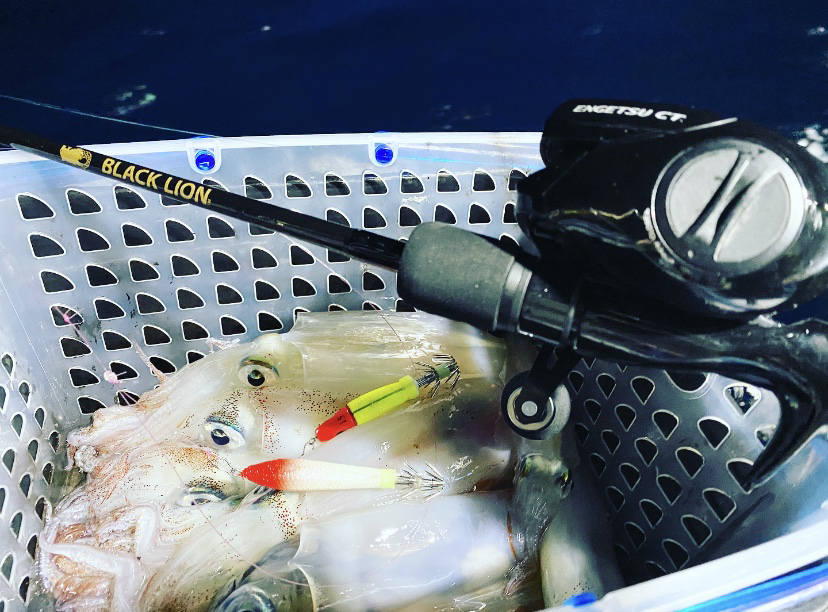 ☆　エリア：和歌山県南紀白浜エリア 遊漁船：SEAHORSE様 ☆