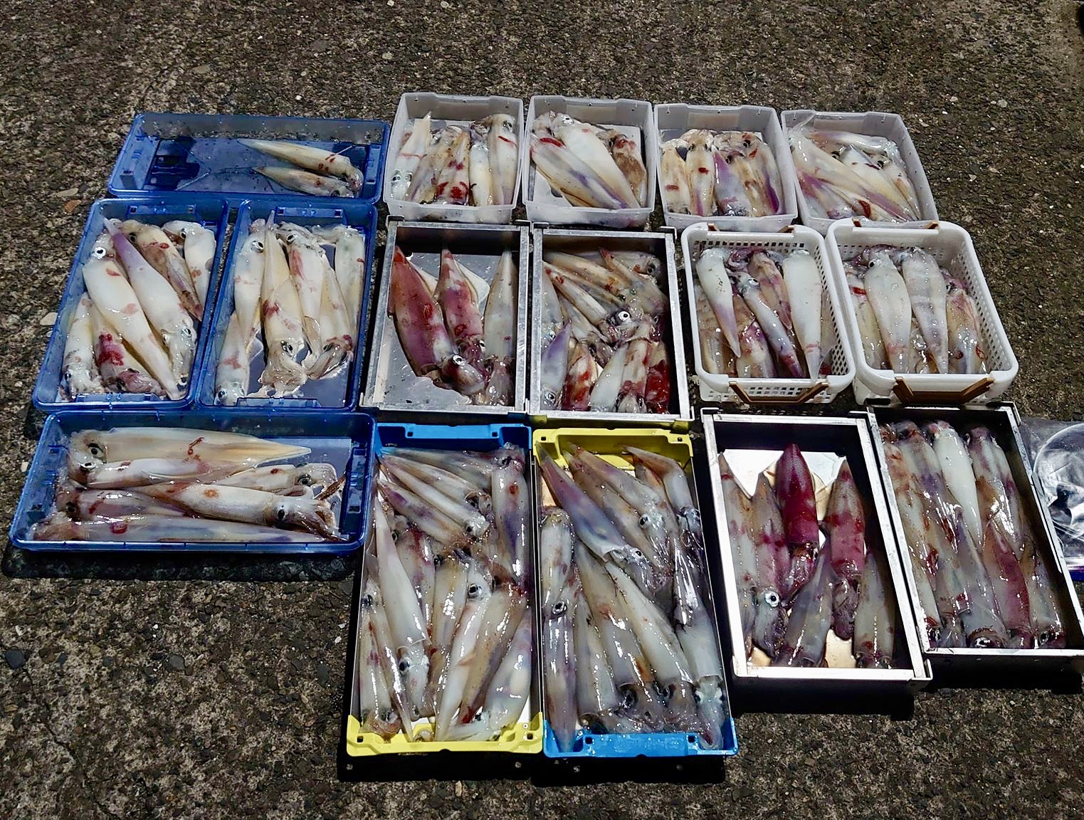 【 八角スッテチャレンジ 2020 】