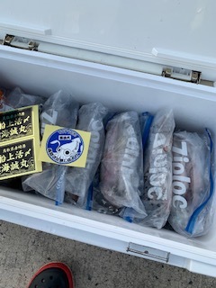 ☆　エリア：鳥取県赤崎沖エリア 　遊漁船：海誠丸様　☆