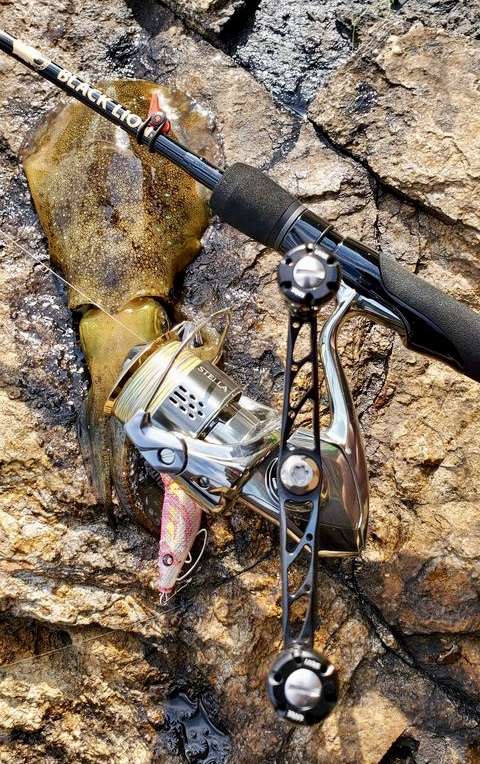 【 日本海でも好調エギング 】