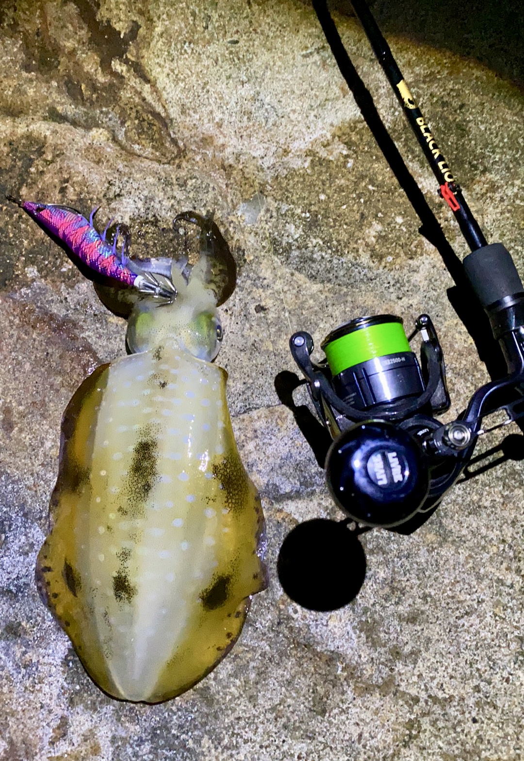 【　月夜前のナイトエギング　】