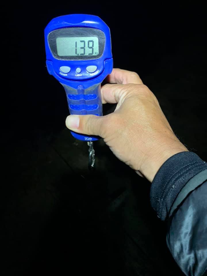 【 これからサイズも益々楽しみな季節 】