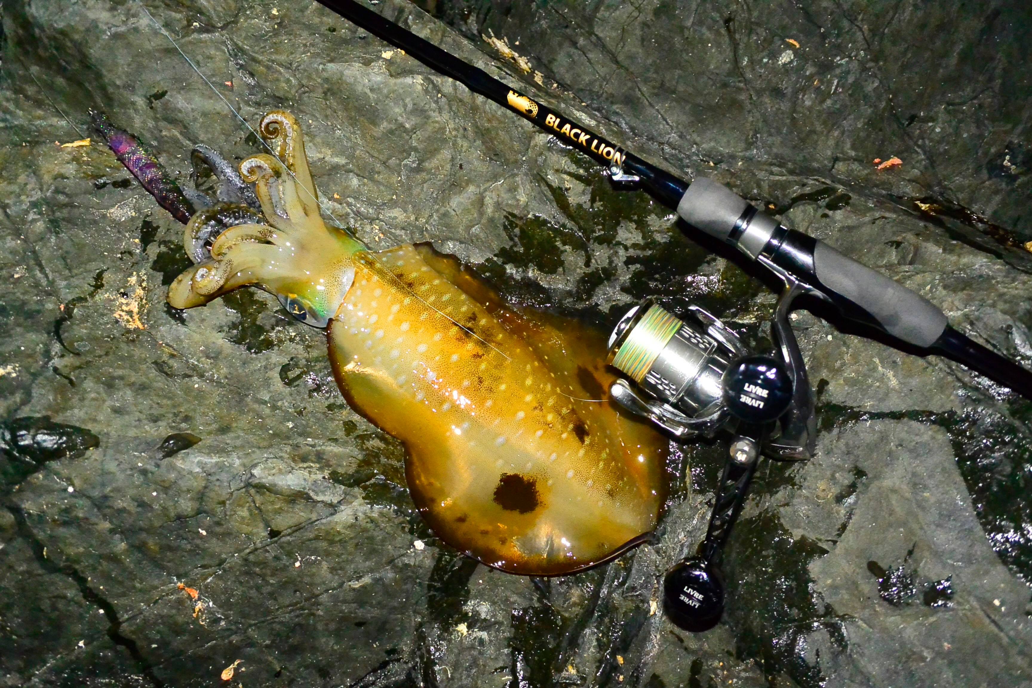 【　オールラウンドに　】