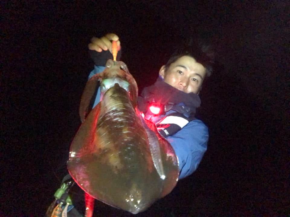 【　デカイカシーズン到来　】