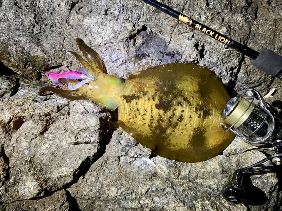 【　2021年　初釣り&新規開拓　】