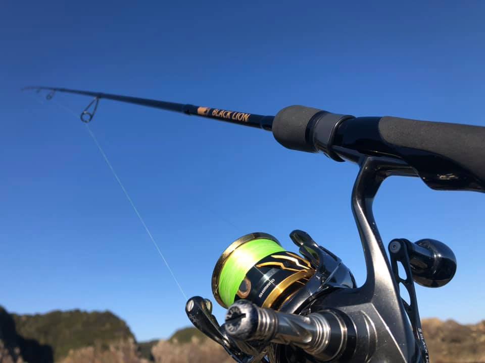 【 これから春に向けての 】