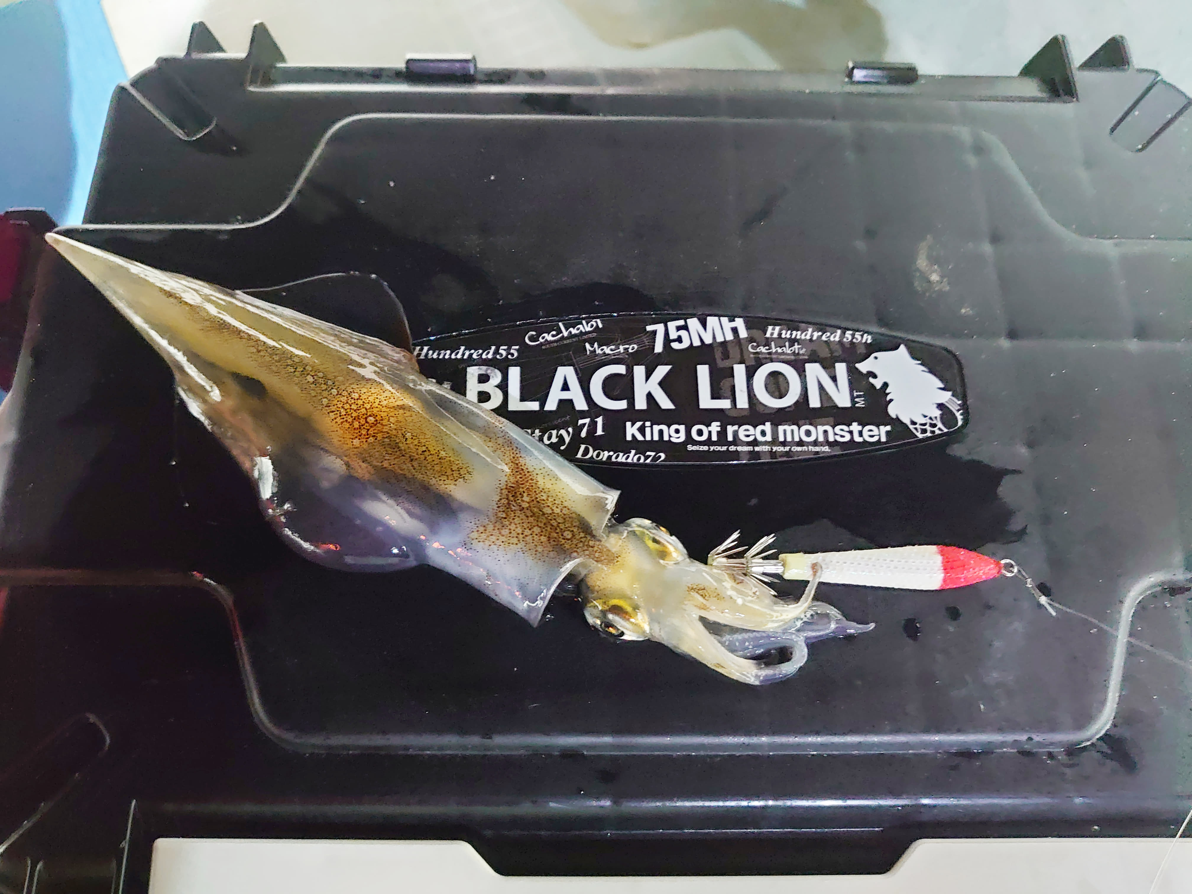 【 日本海エリアでもヤリメタル 】