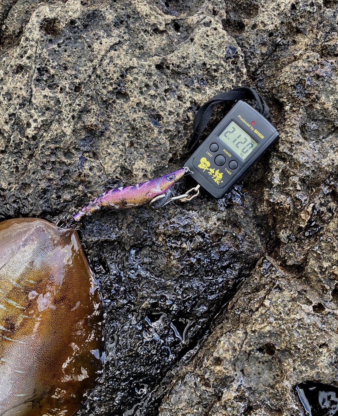 【　デイでのモンスター　】