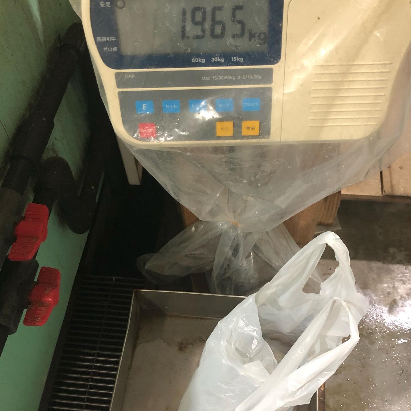 【　三重エリア　ボートエギングシーズン本格化！】