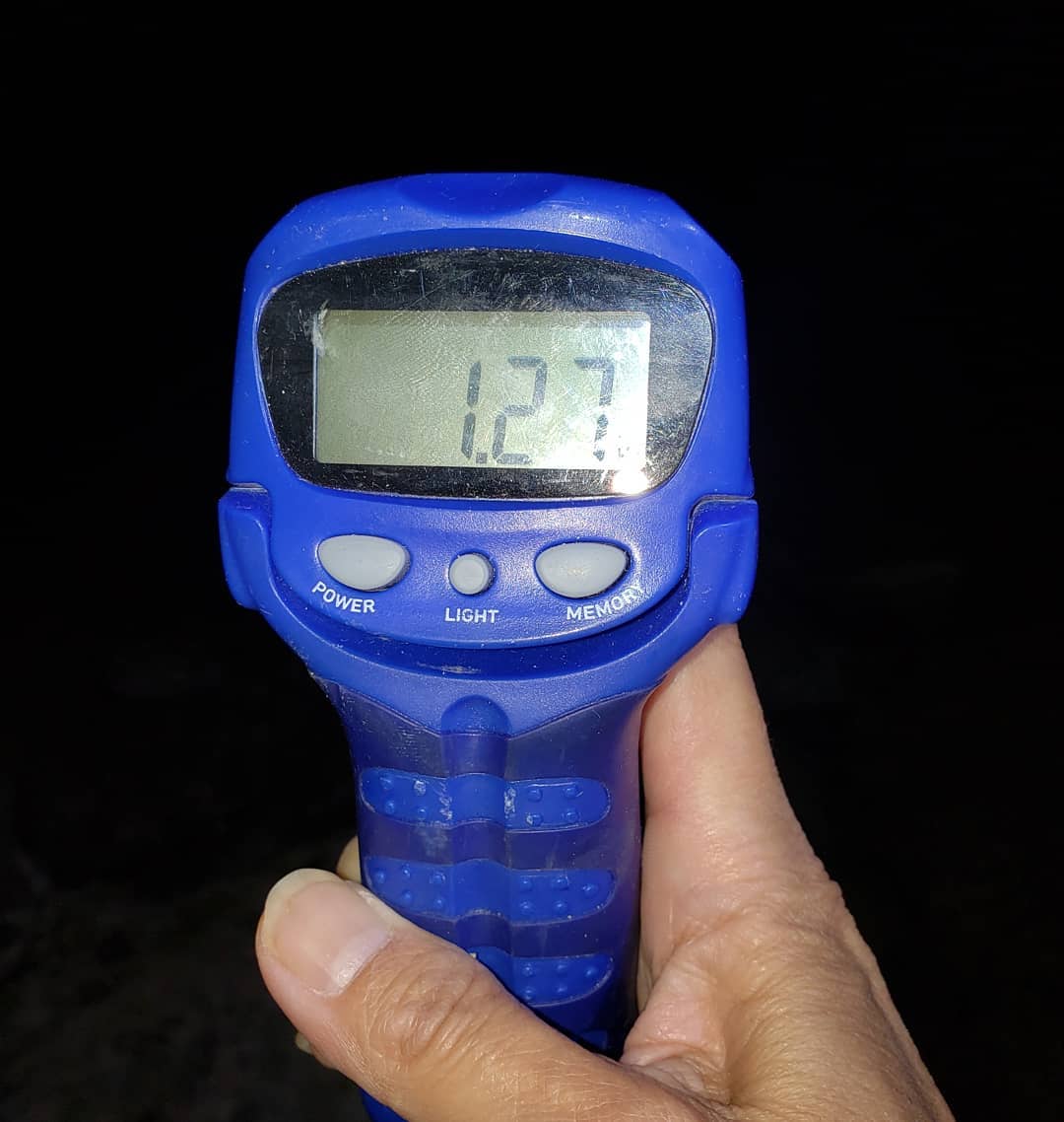 【　和歌山もデカイカシーズン本格化　】