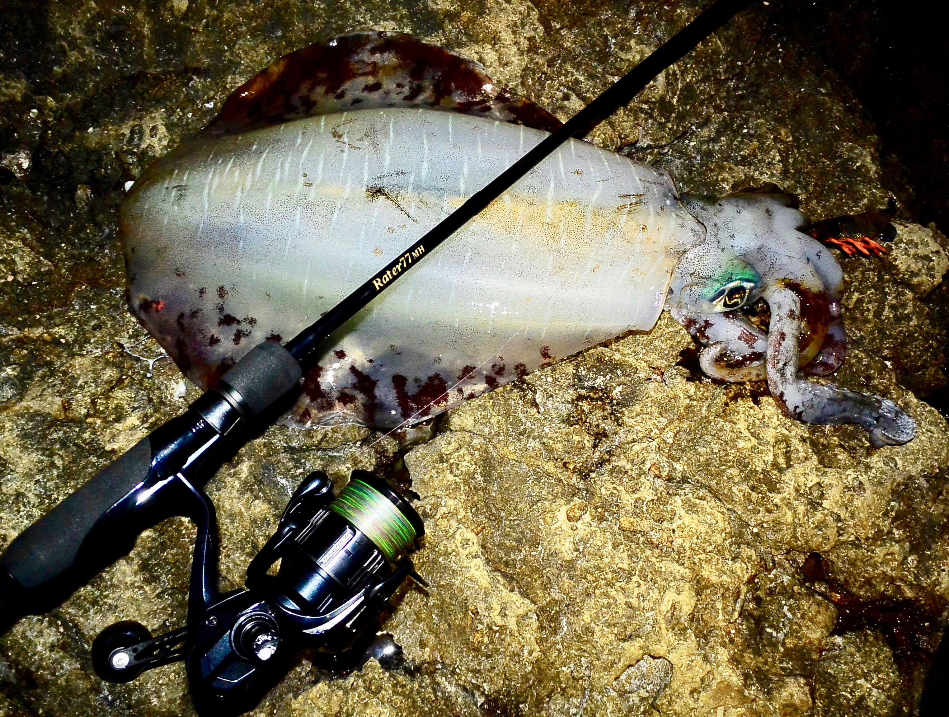 【　指ドラグ　】