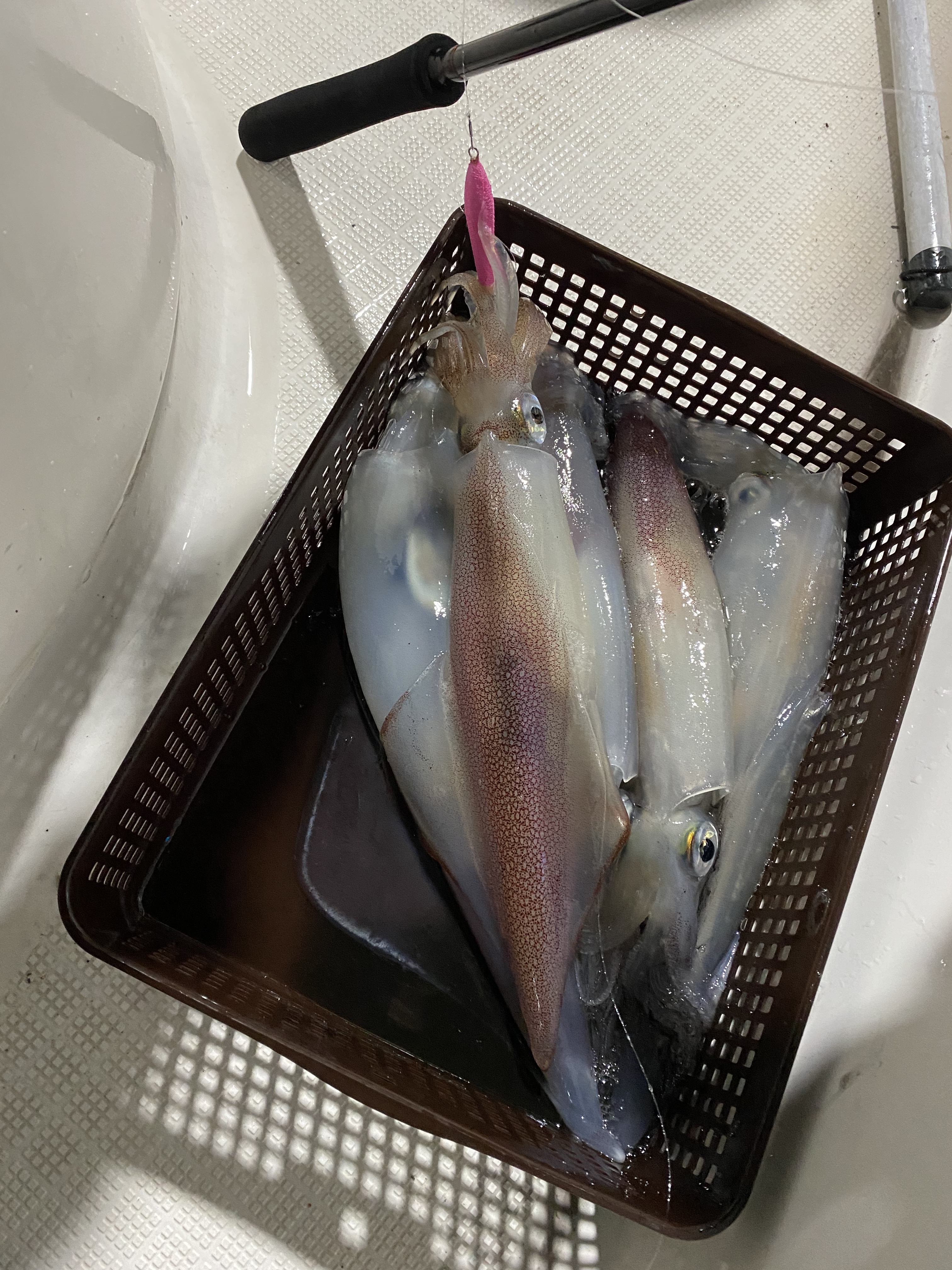 【　梅雨が明けると益々ヒートUP　】