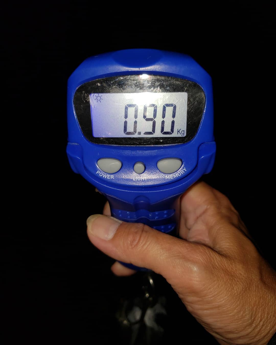 【　まもなく夏イカパターンも秒読み　】