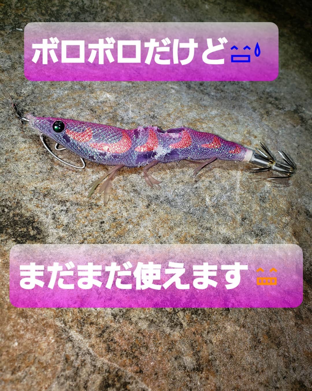 【　まだまだデカイカいつ出ても・・・　】