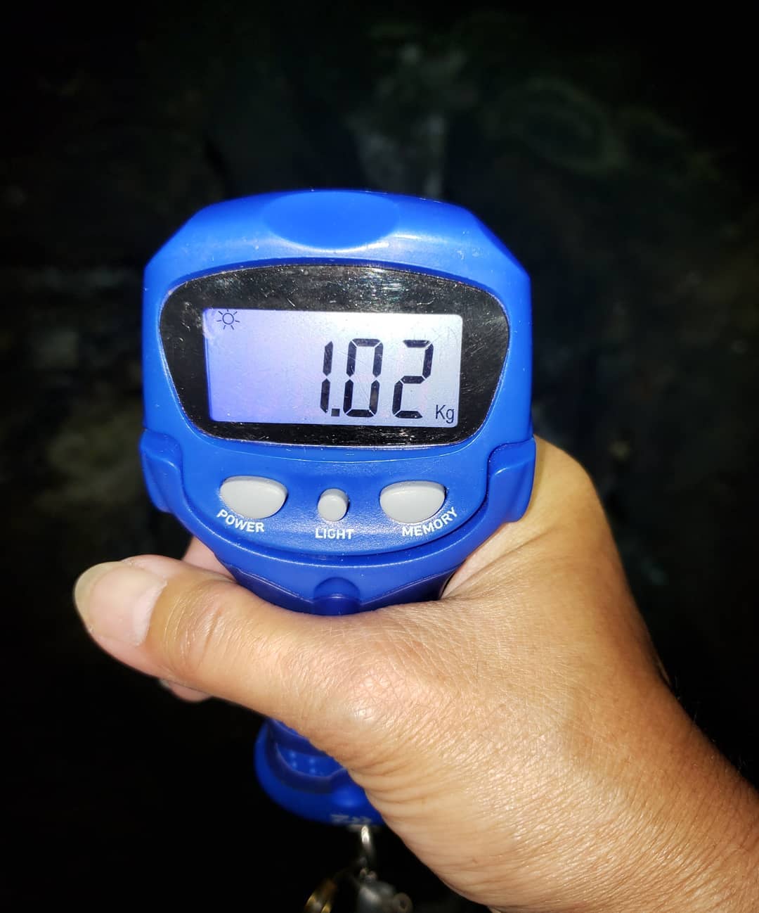 【　モンスター捕獲　】