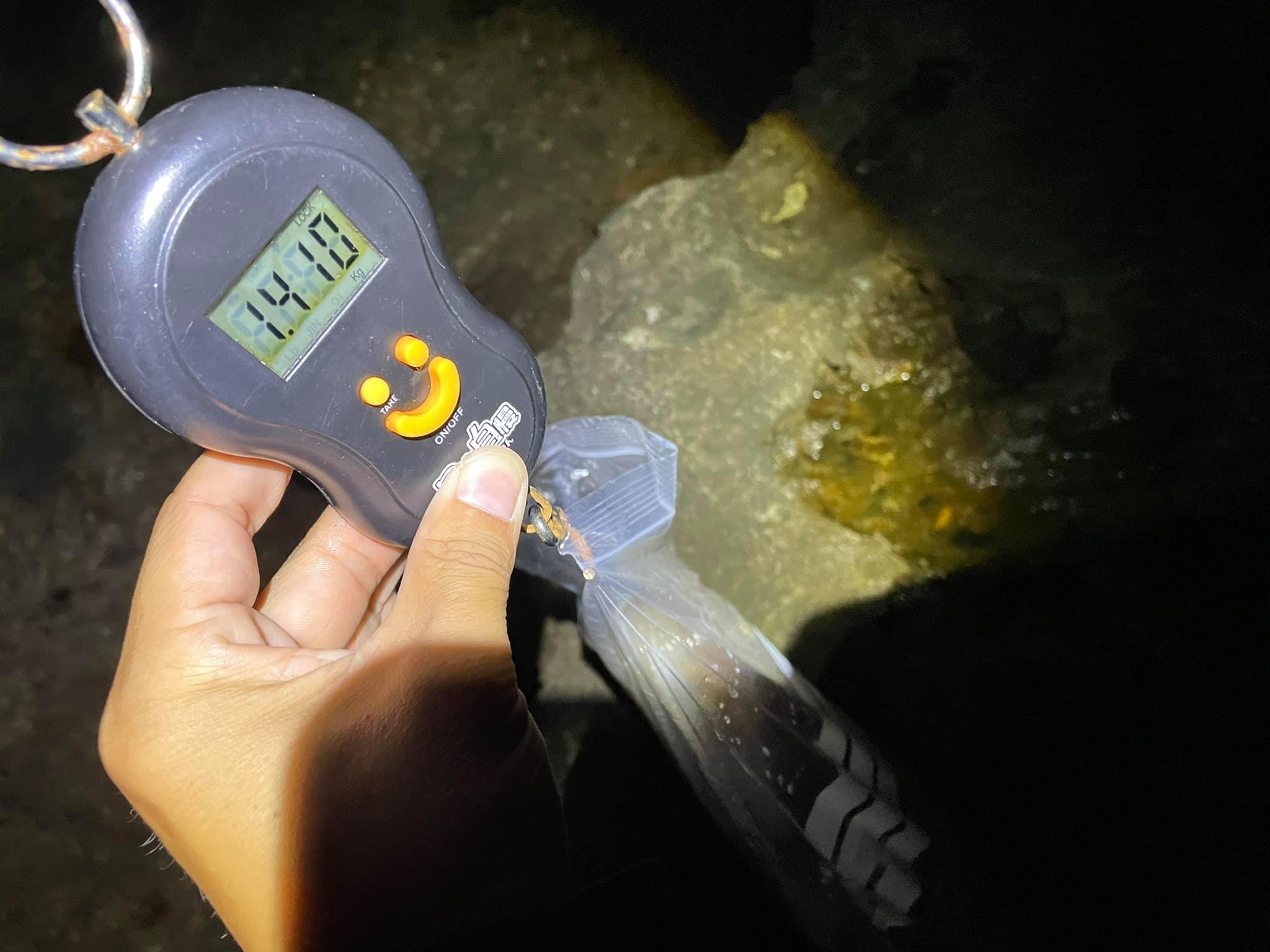 【　月夜回りのエギング　】