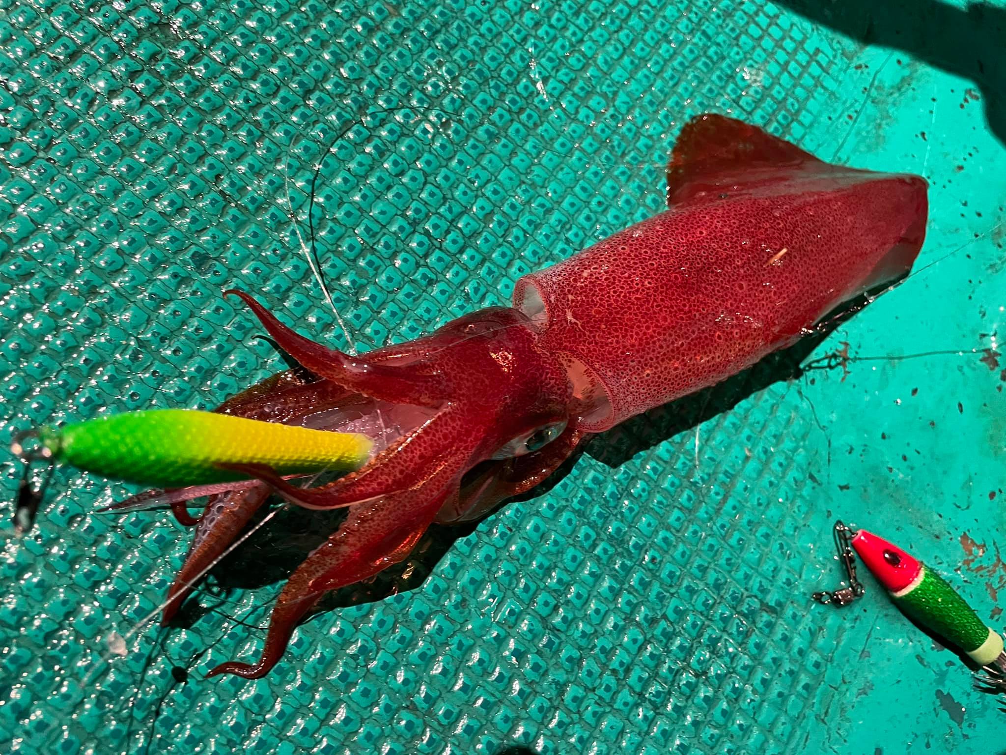 【　いよいよ太平洋も開幕　】