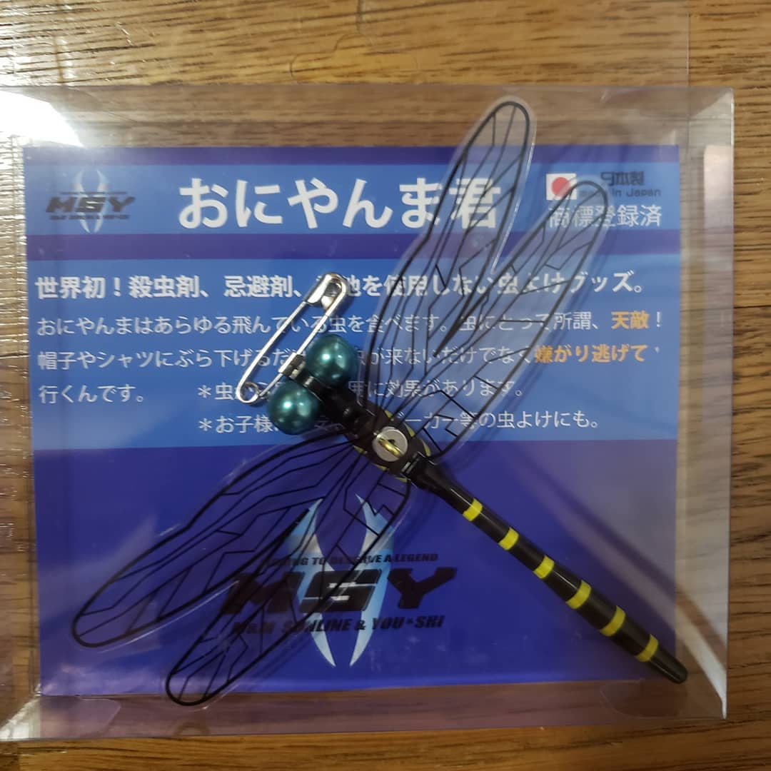 【　涼しいナイトか朝マズメエギング　】