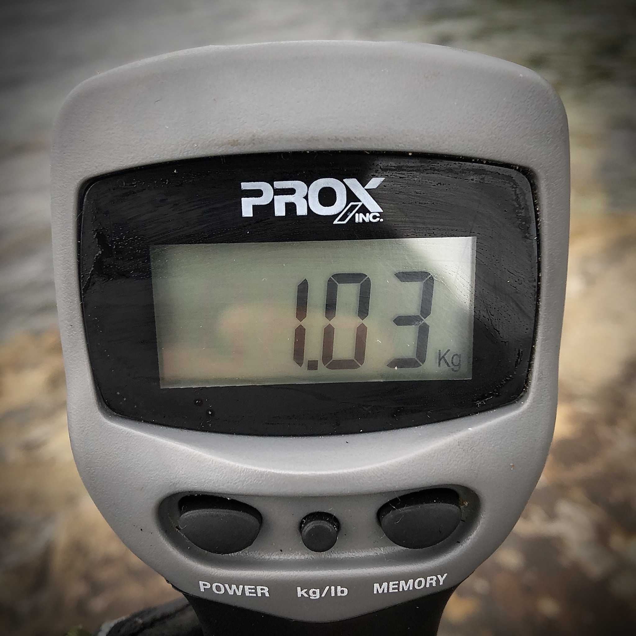 【　九州〜日本海でも次世代エギング　】