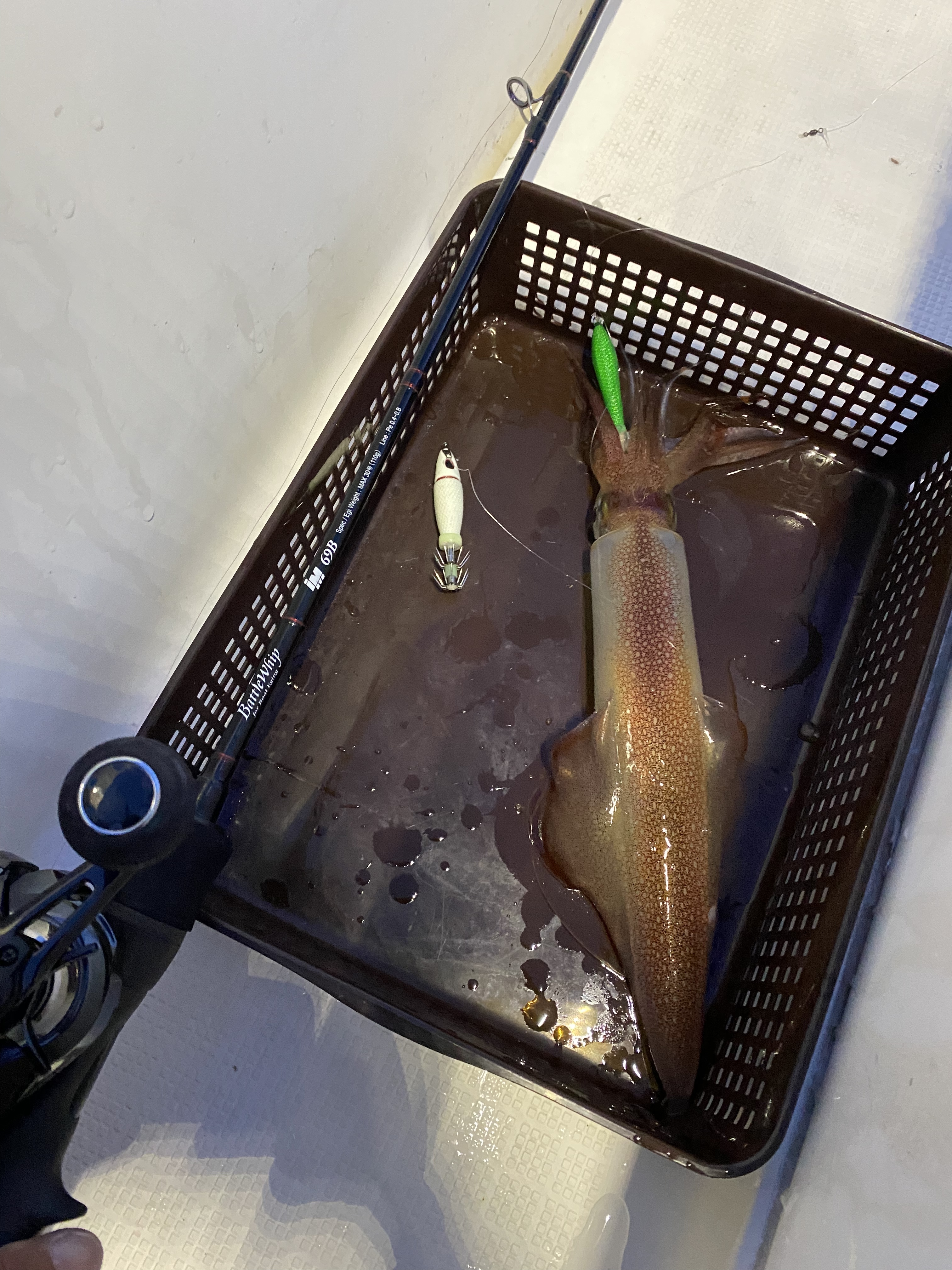 【　これから熱い夏のよるが　】