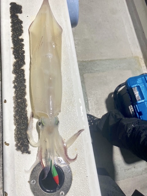 【　シーズン初旬から大剣　】