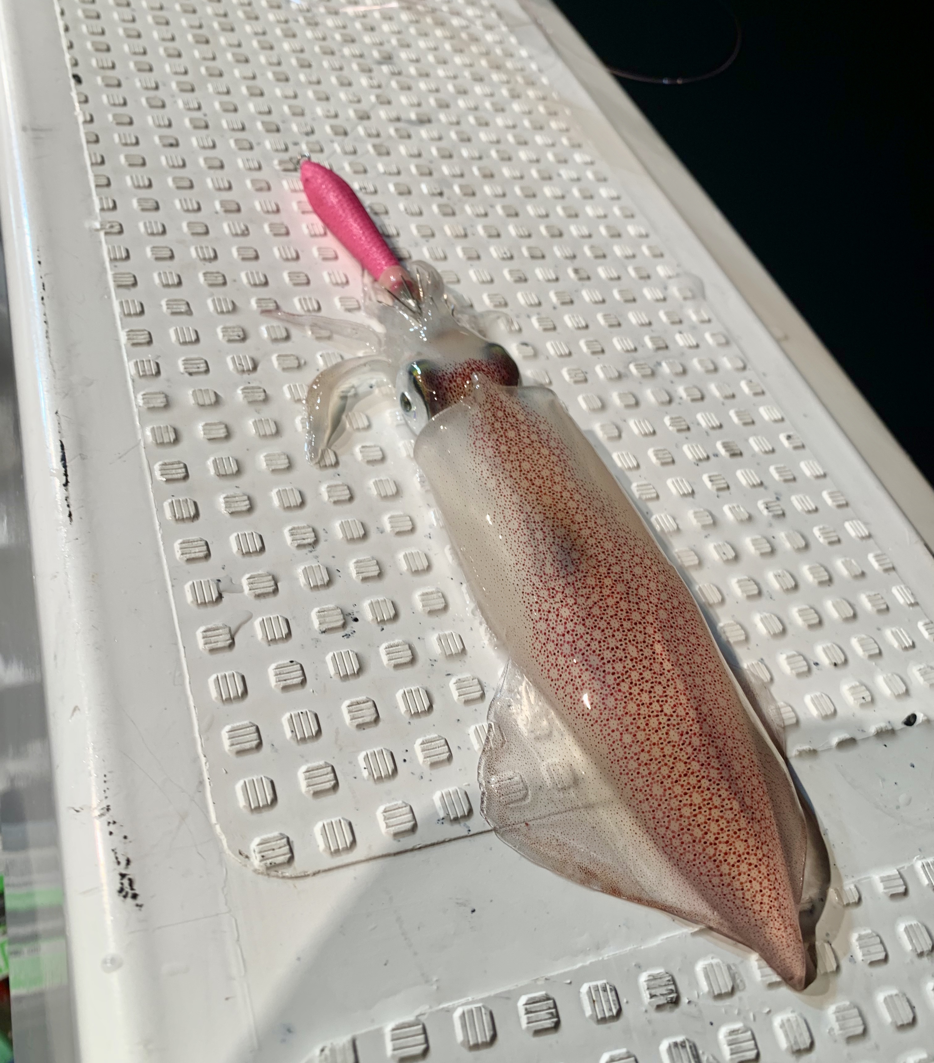 【　その日当たりカラーを見つける事がポイント　】