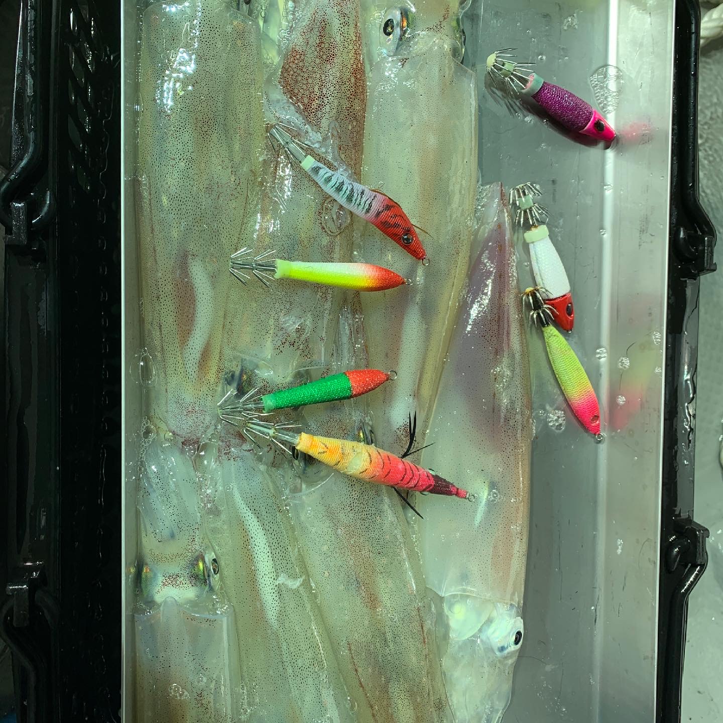 【　サウスッテTG 　】