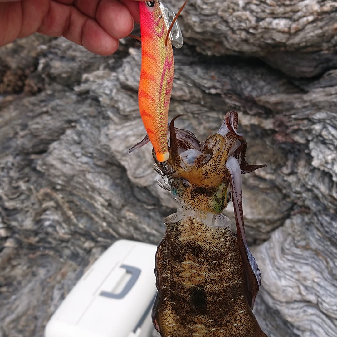 【　朝晩は涼しくなり　】