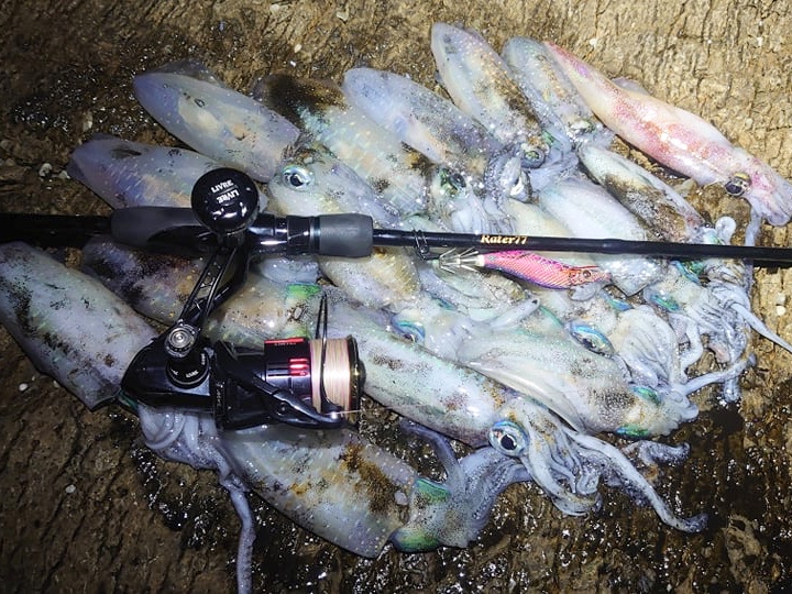 【　日本海エリア好調エギング　】