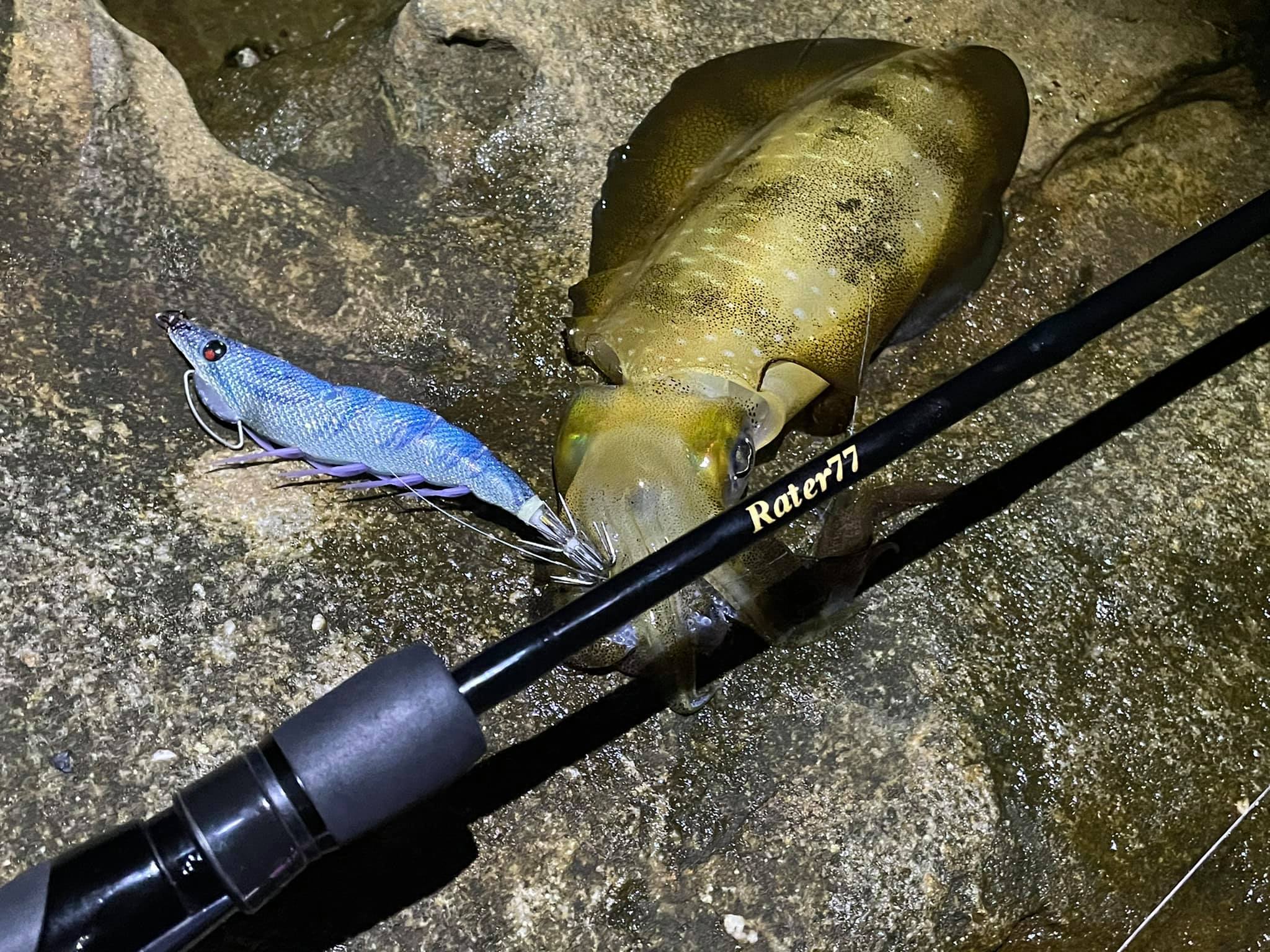 【　一気に秋めいてきました　】