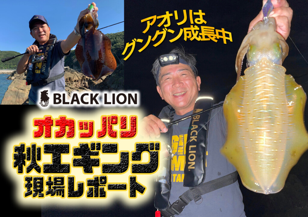 【　秋エギ　現場リポート　】