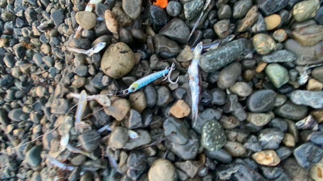 【　感度は抜群！　】