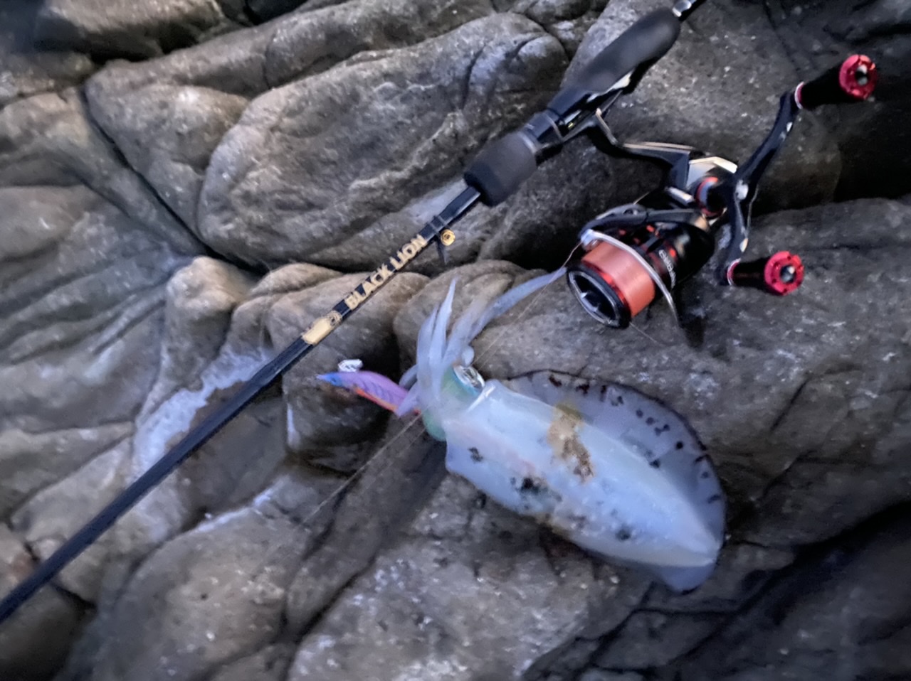 【　次世代エギングで秋のエギング　】