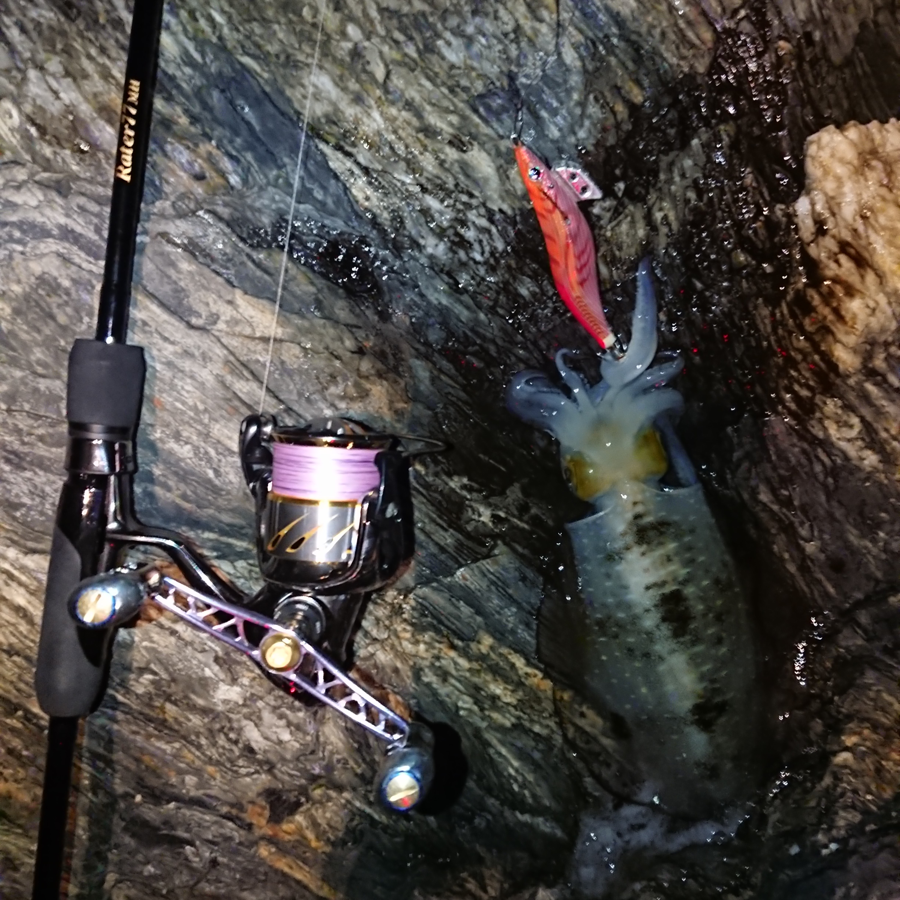 【　各地でエギングシーズン真っ只中　】