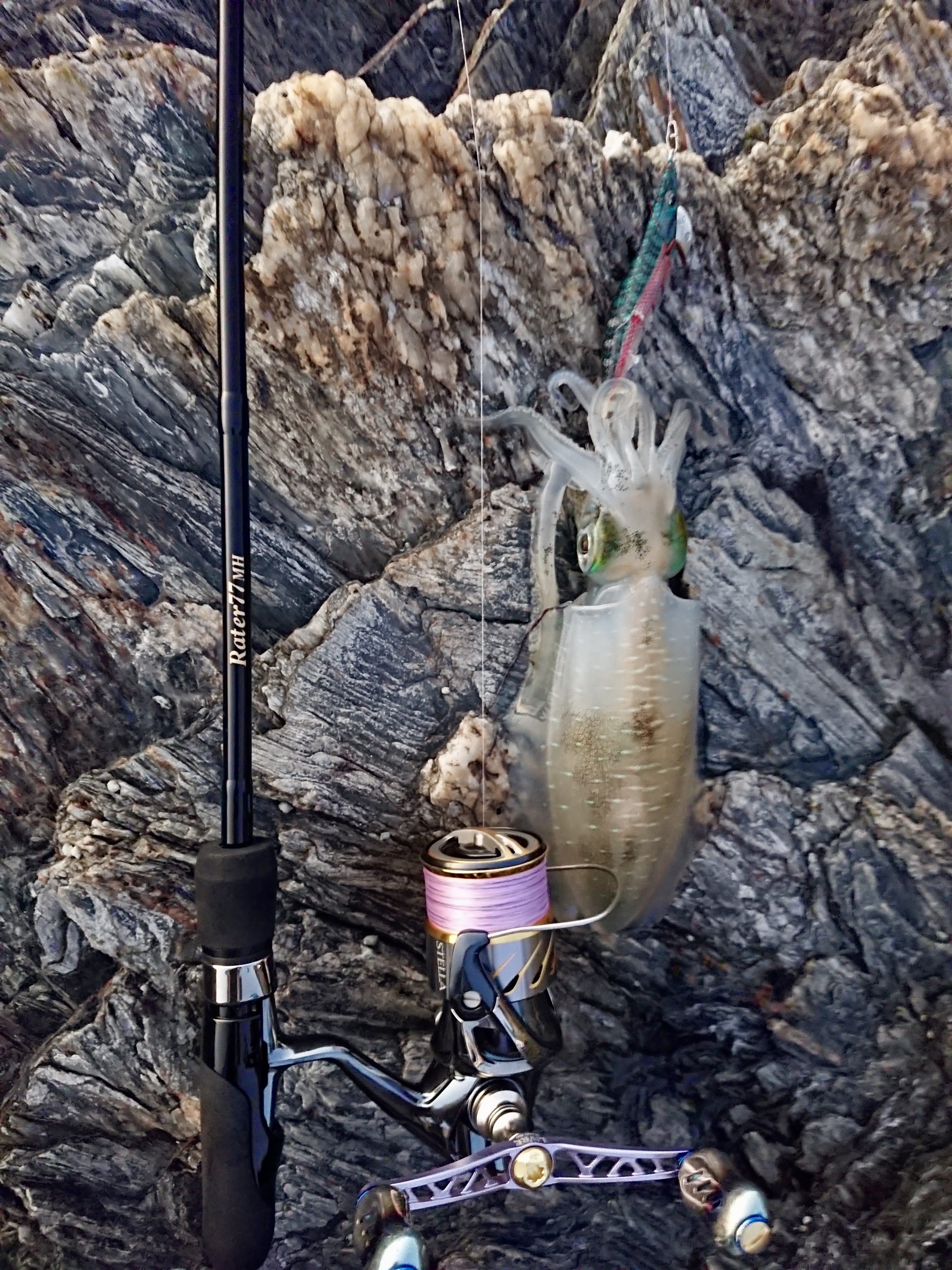 【　台風も過ぎ去りいよいよ本格化　】