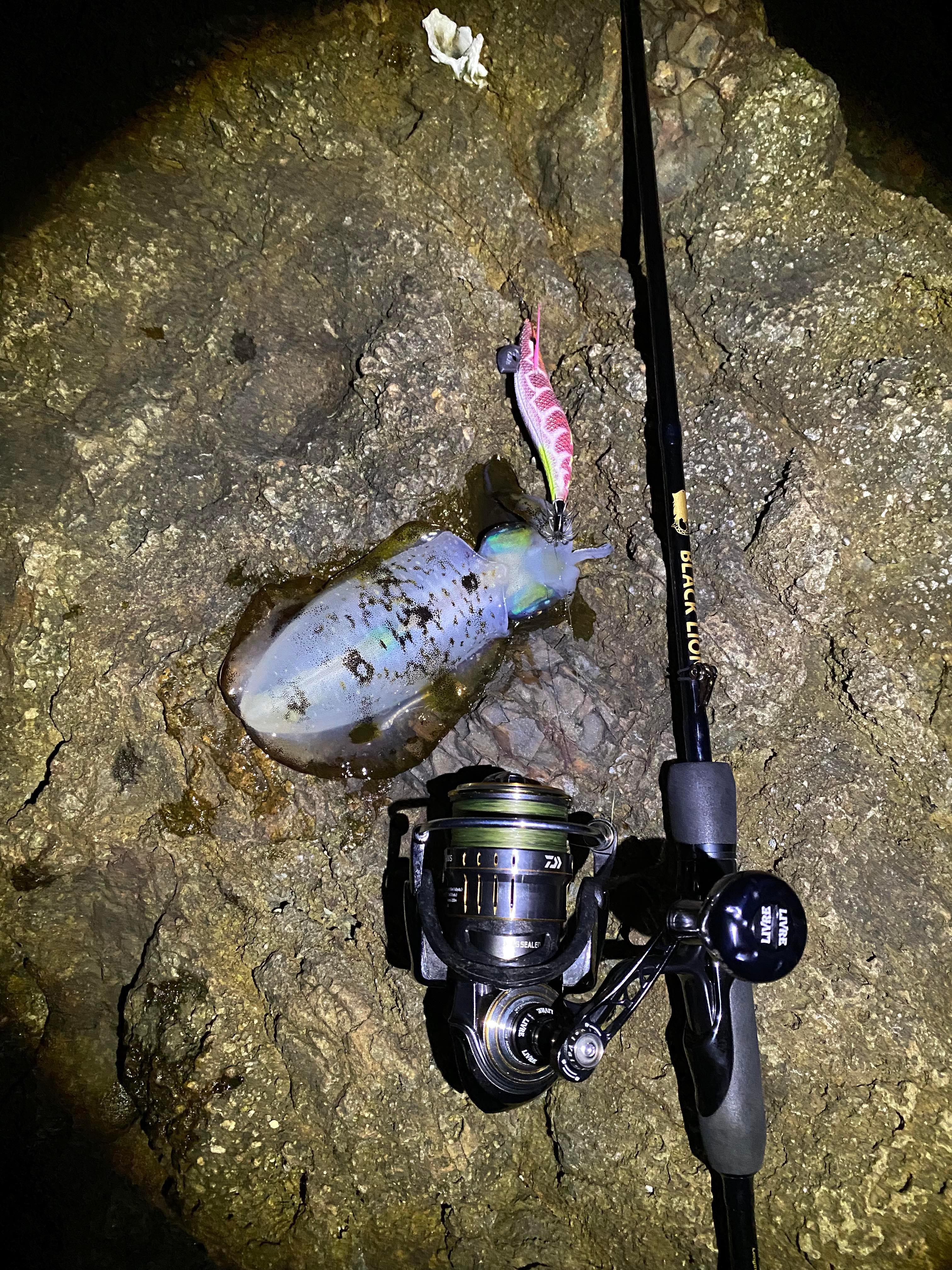 【　少しづつ寒くなりサイズも　】