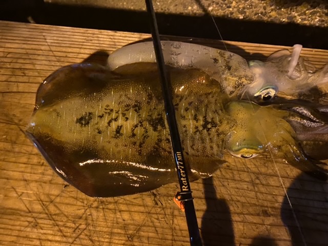 【日本海もまだまだ楽しめる】