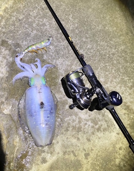 【　キロUPも上がりはじめ　】