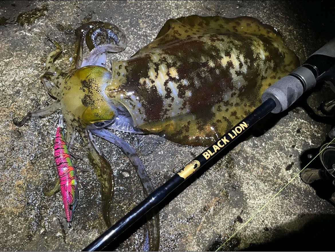 【　いよいよ今年最後月夜回り　】